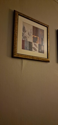 Wallpaper coming away