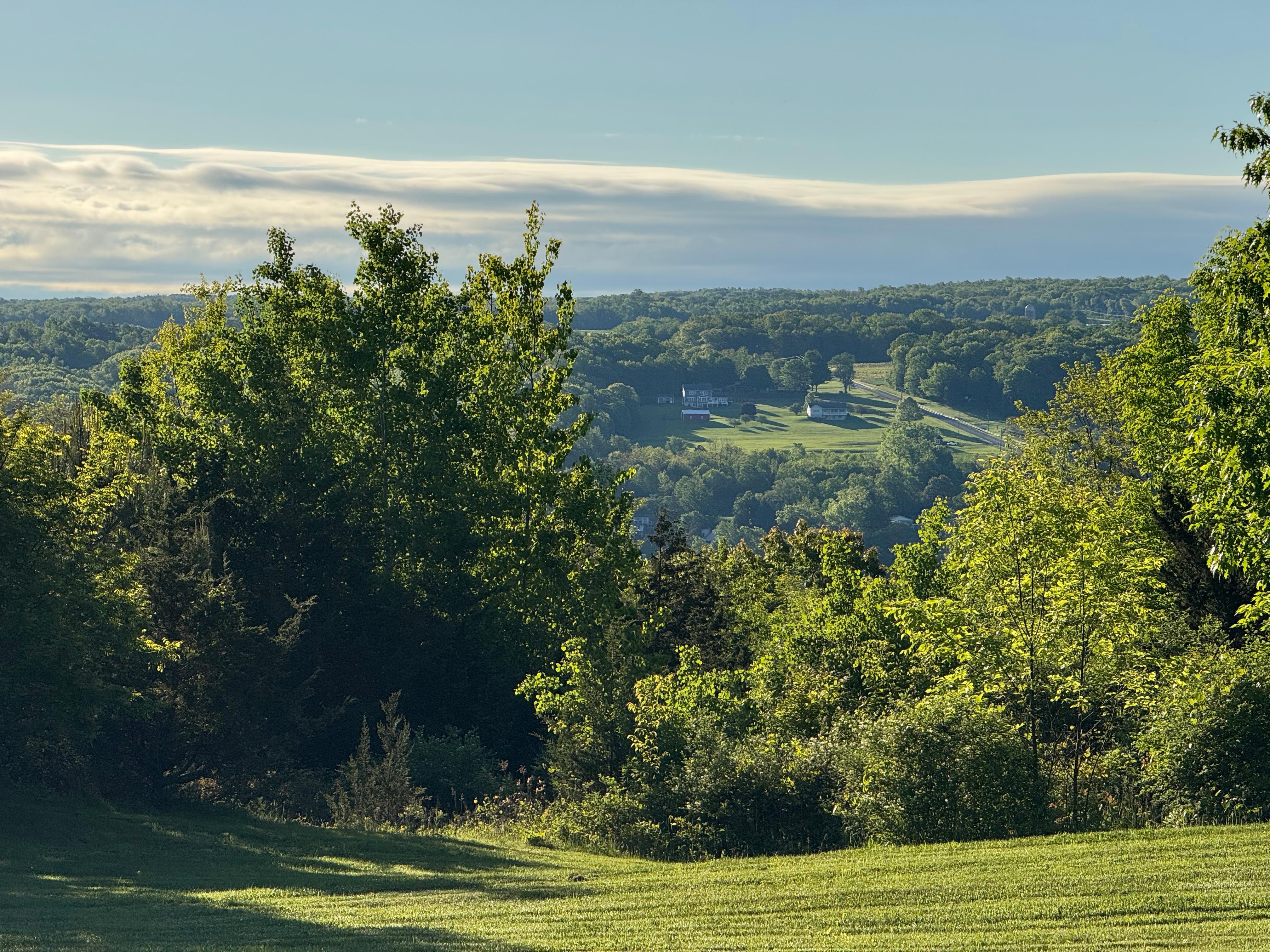 View from the front yard