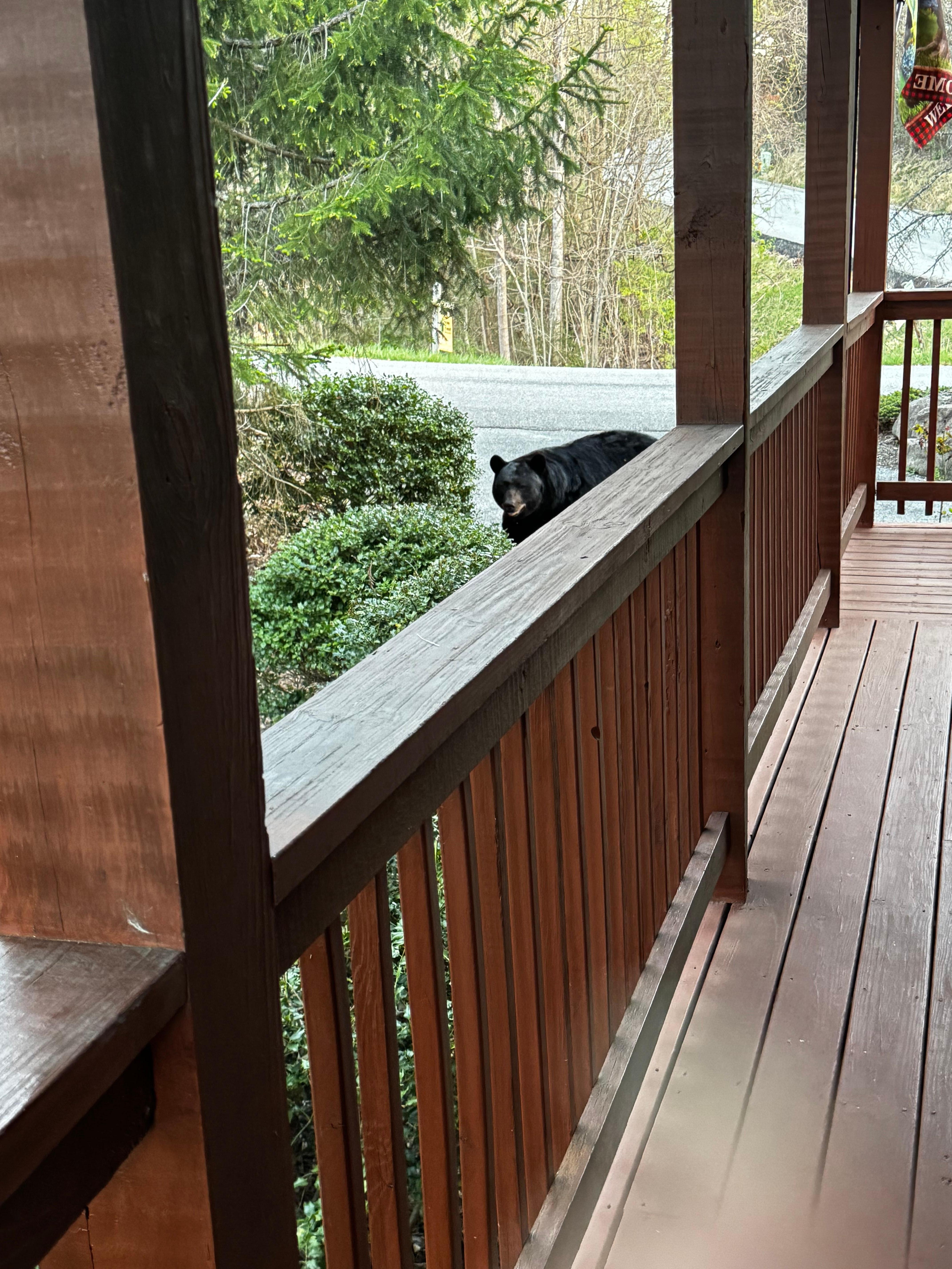 Each morning the trash and car inspector came around. Make sure to lock up the trash and leave no food in the car and lock your doors