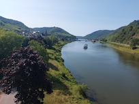 Die Mosel nahe Bullay