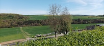 Uitzicht