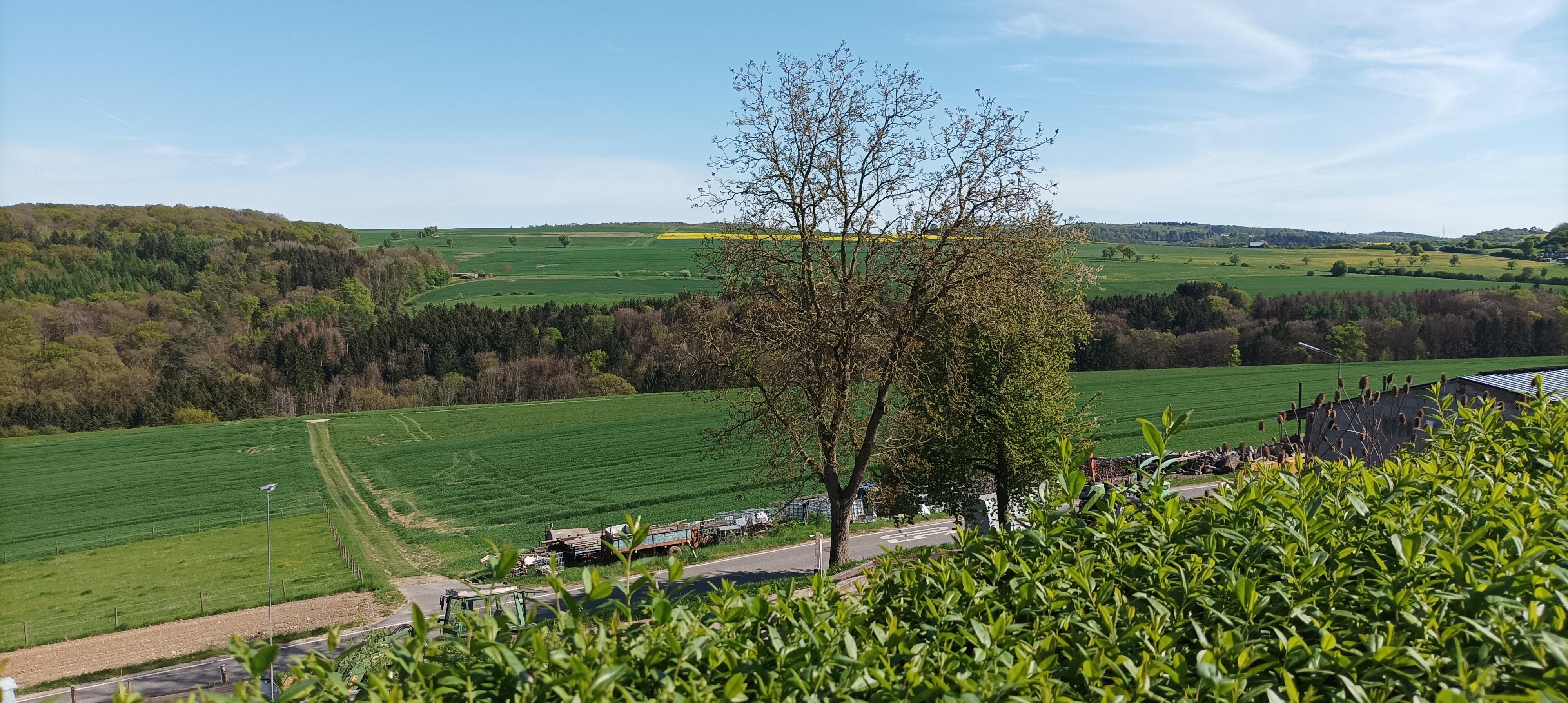Uitzicht 