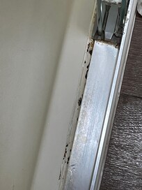 Mold on shower track