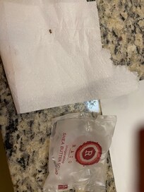 Roach