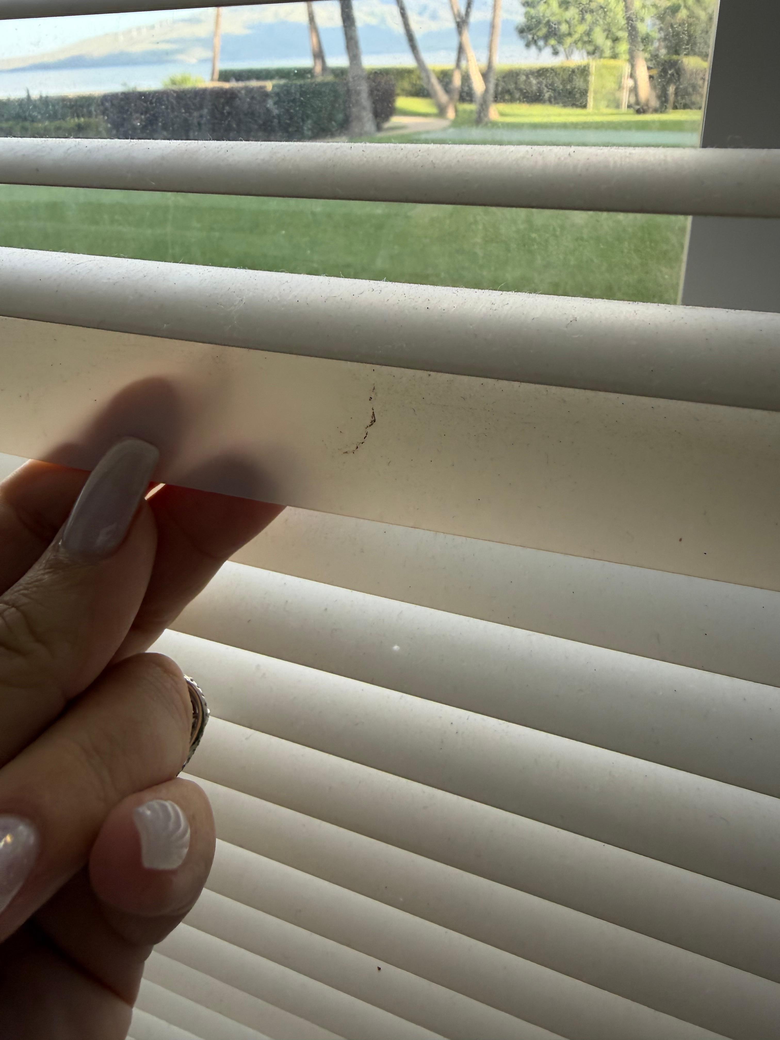 Dirty plastic blinds