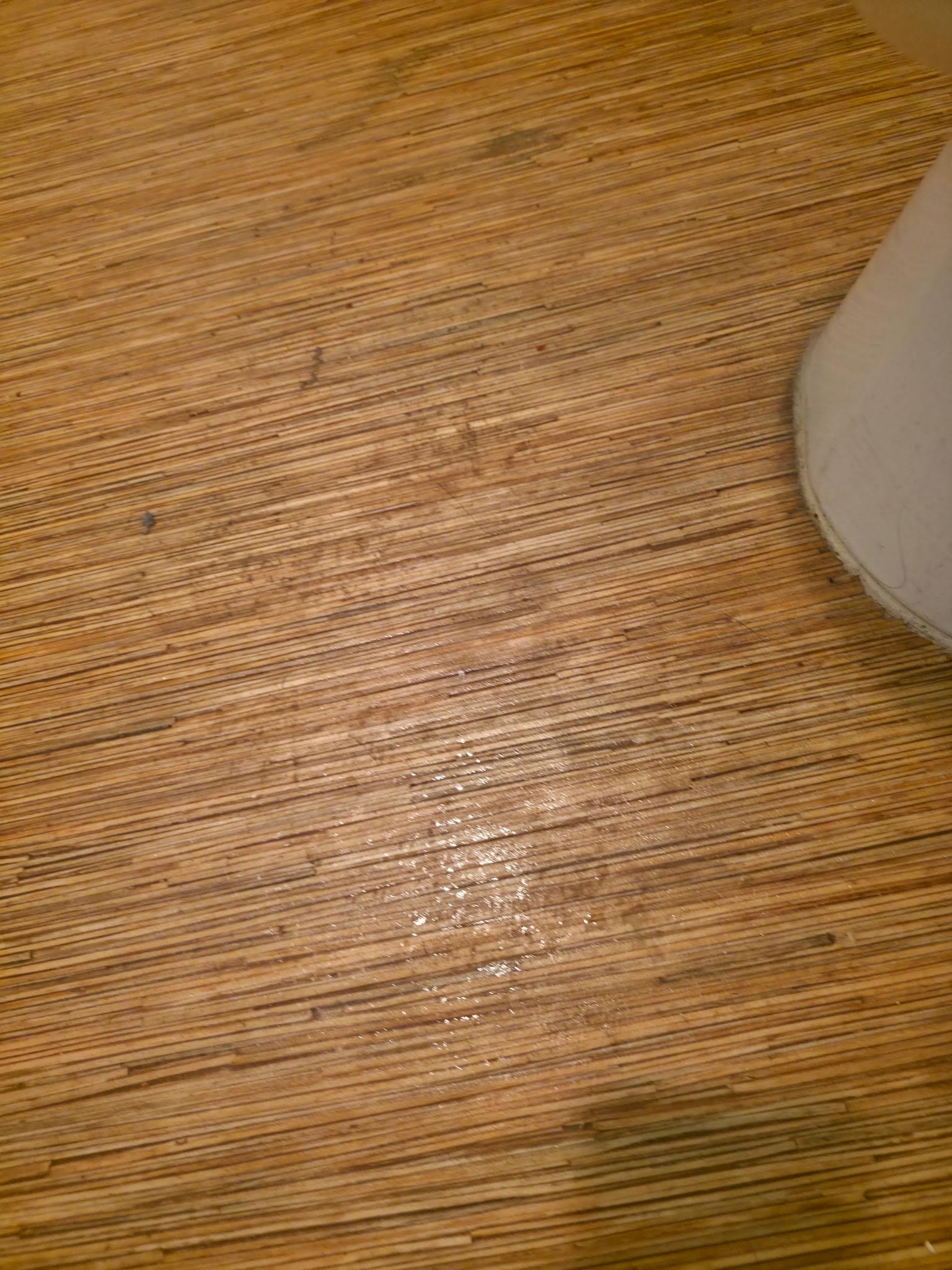 This was in the bathroom in front of the toilet.