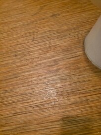 This was in the bathroom in front of the toilet.