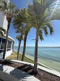 We could see dolphins from our balcony right below