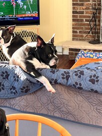 Cooper and Luna