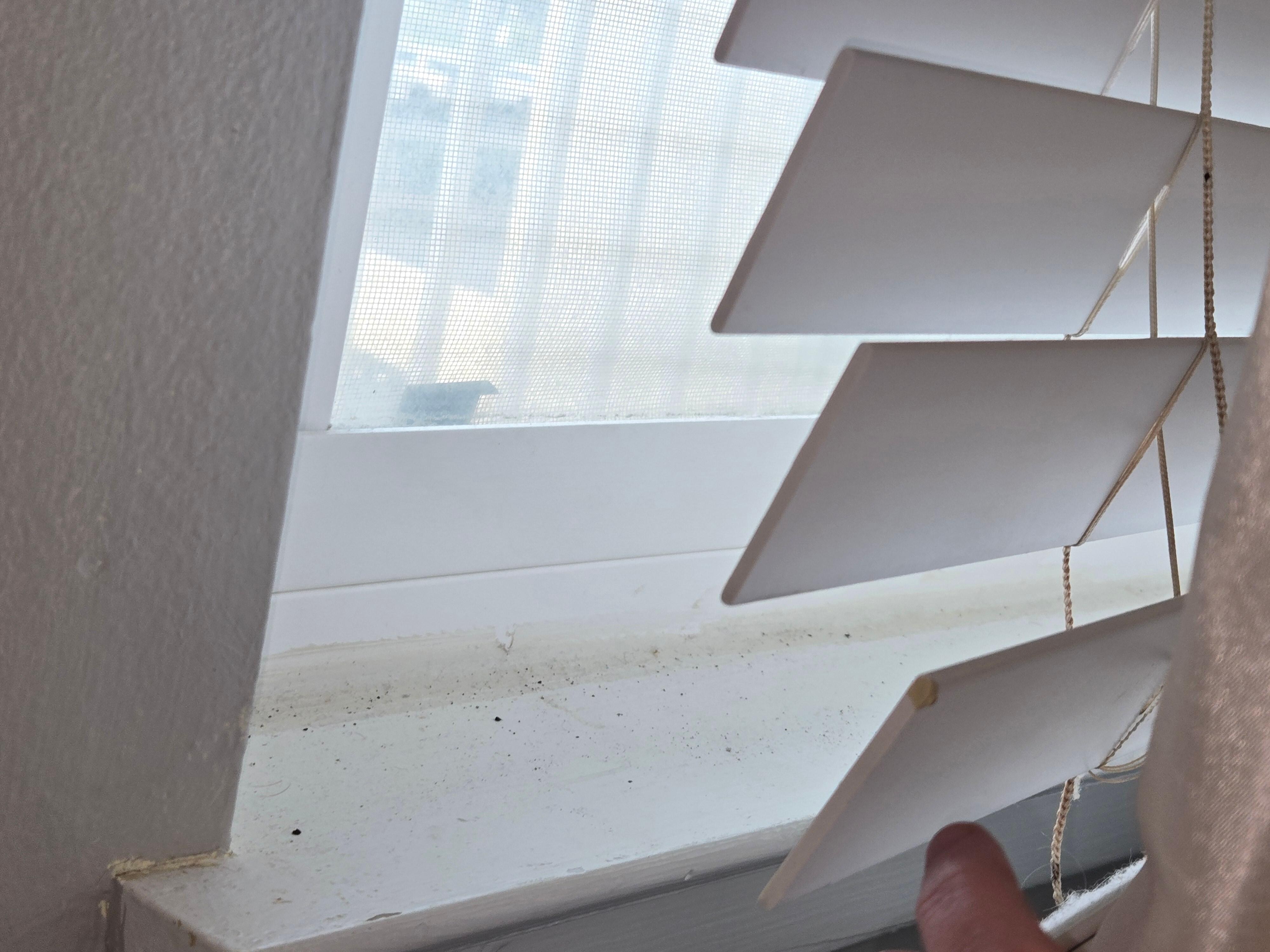 Filth on the window seal right by where I sleep. Disgusting 