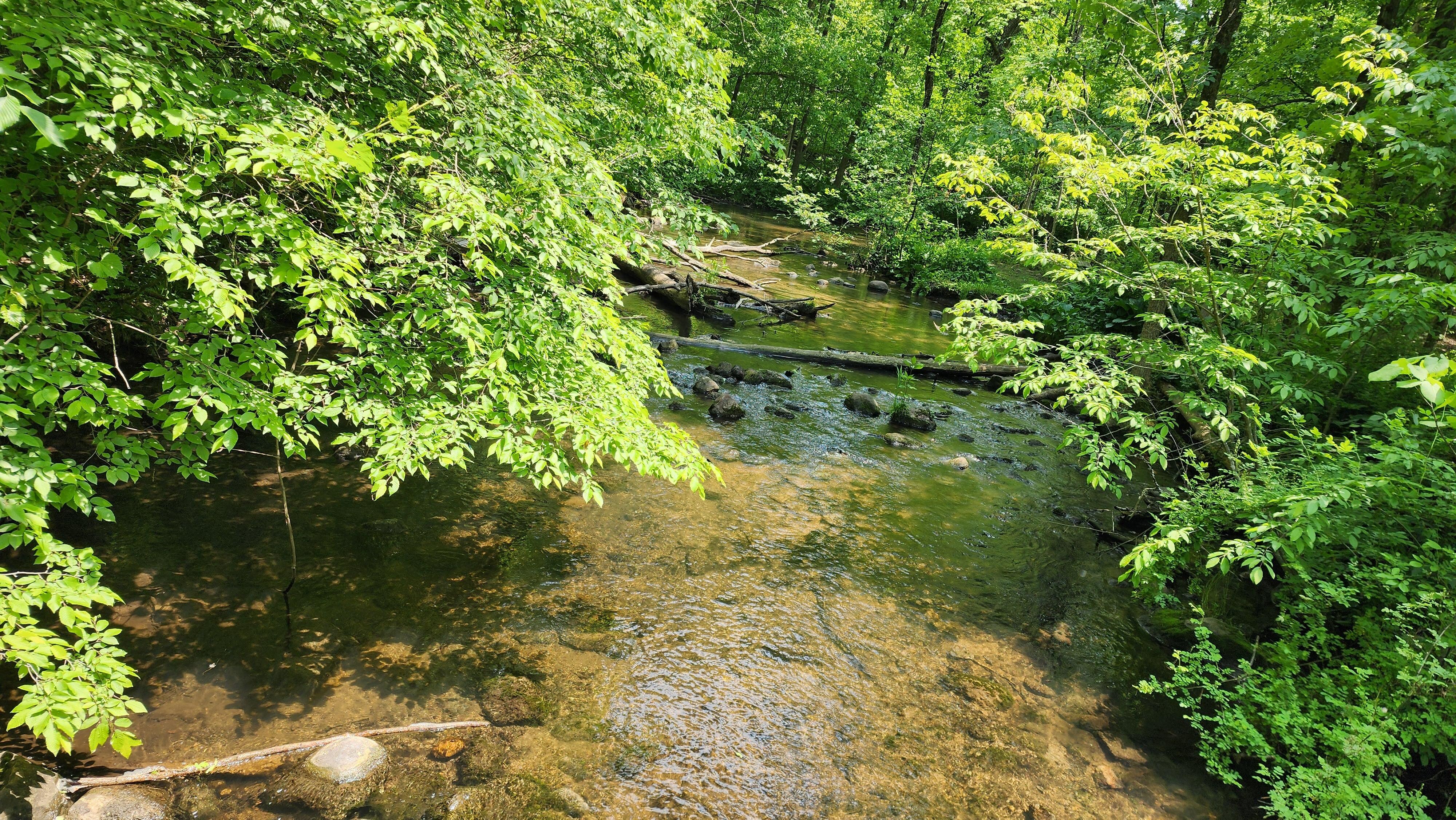 Nearby Hiking