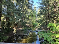 Beautiful UC arboretum right near by. Like steps out the back door.