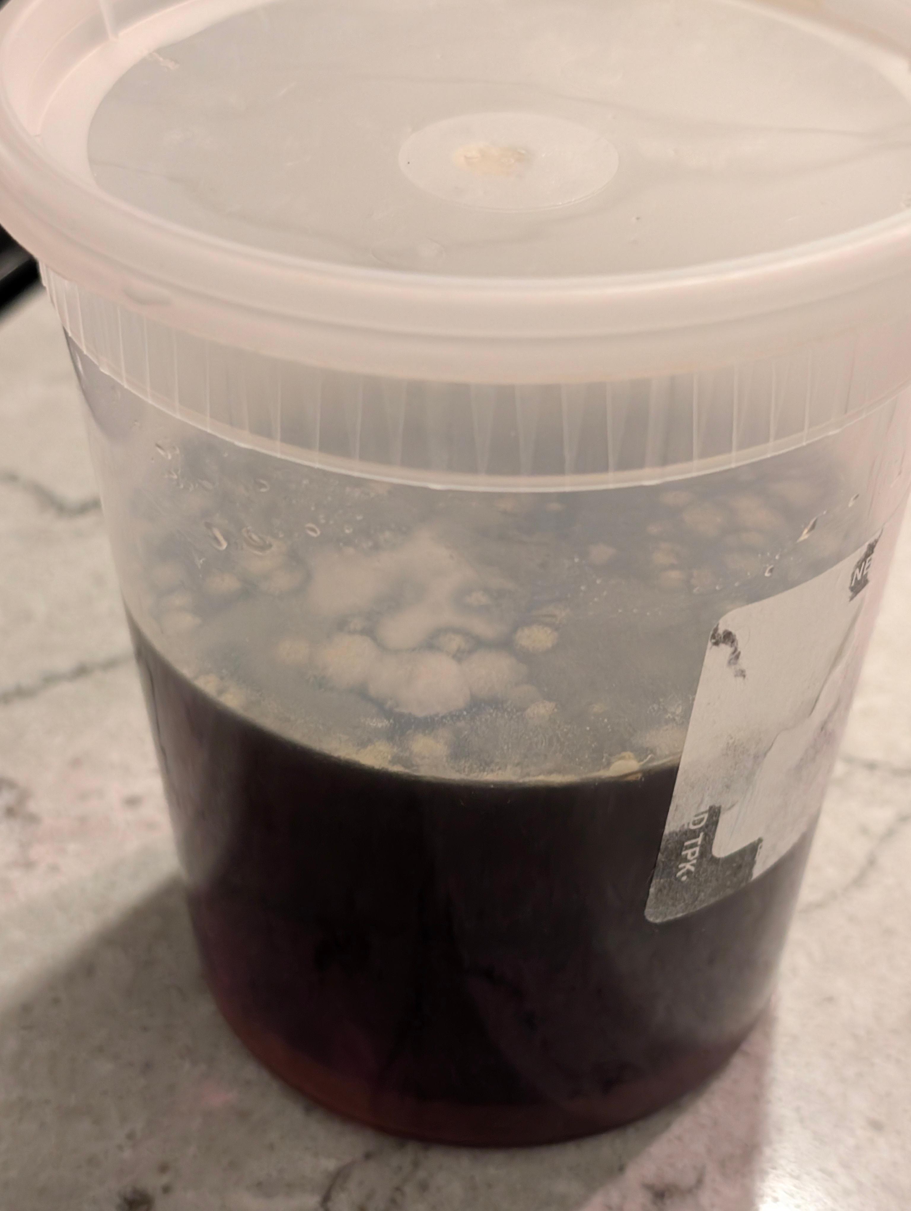 Mouldy food in the cupboards / fridge