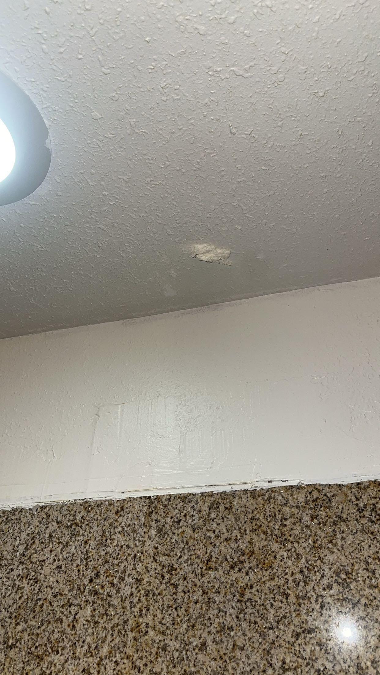 Wadded up toilet paper on the shower ceiling. 