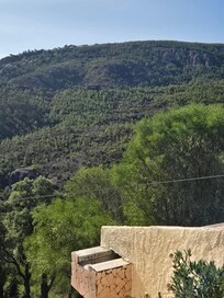 Ausblick von der Terrasse