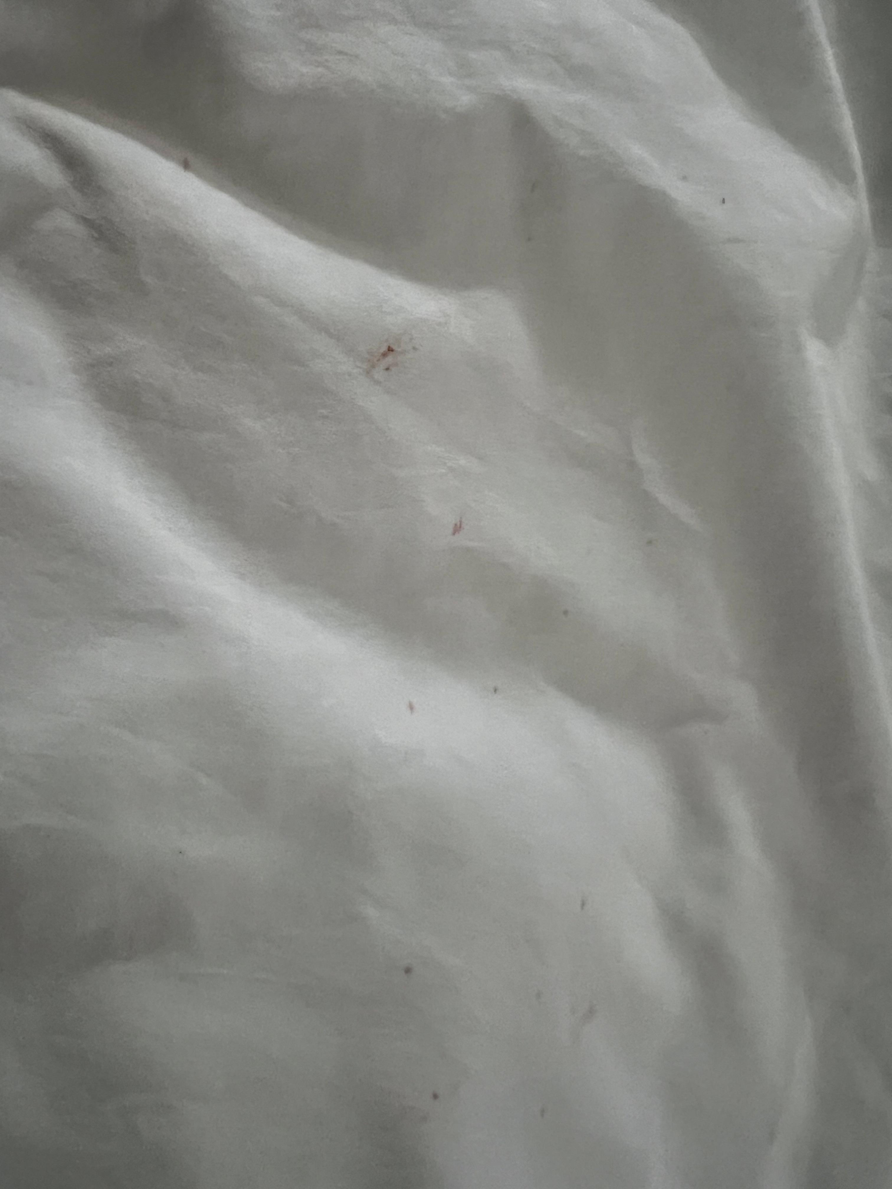 red splatters on top sheet