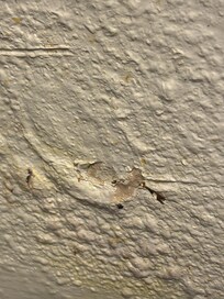 Mold and water damage is painted over all over the house