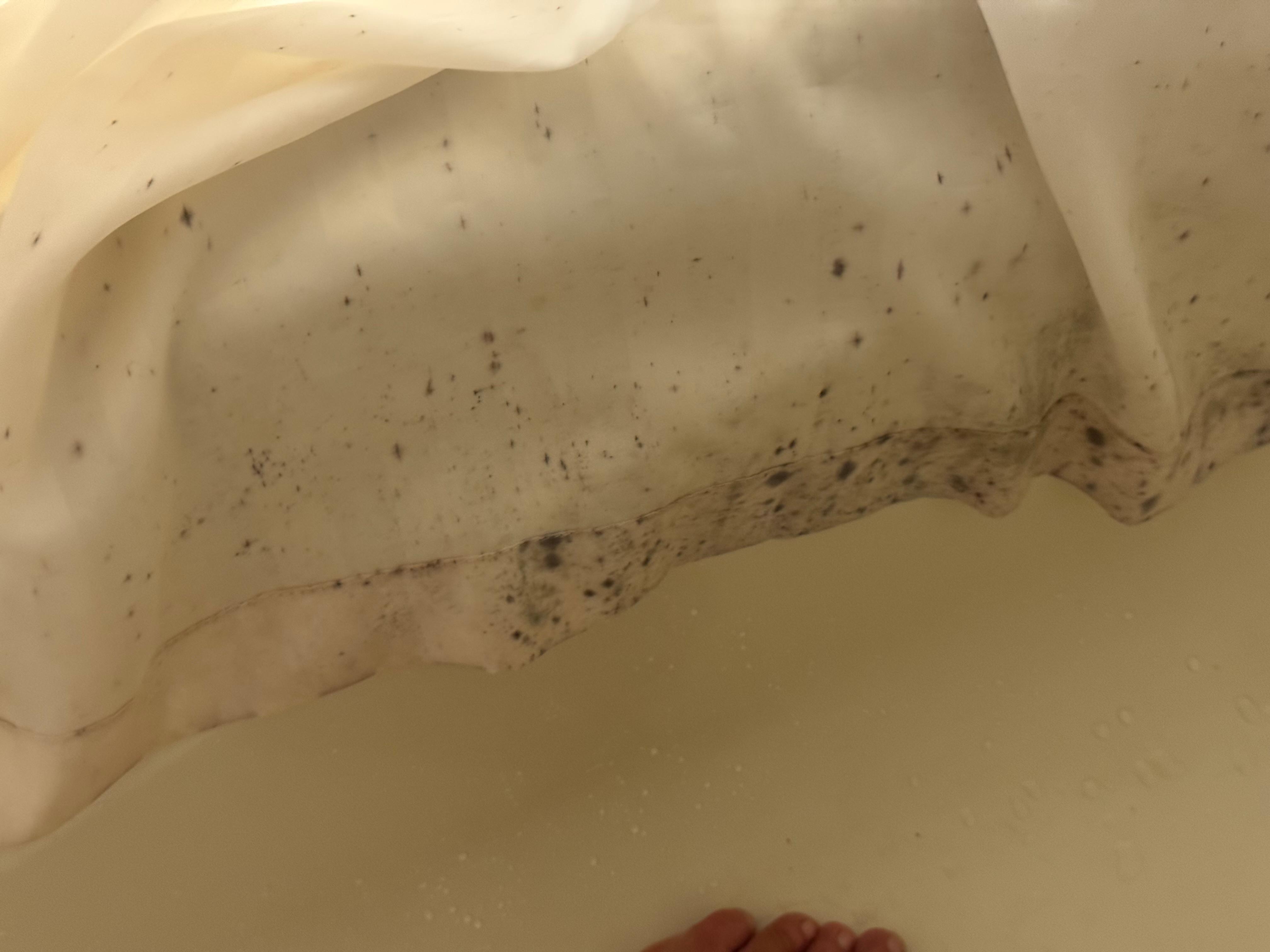 Mold on shower curtain