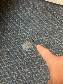 Dead bug