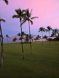 Breathtaking Sunrise!!