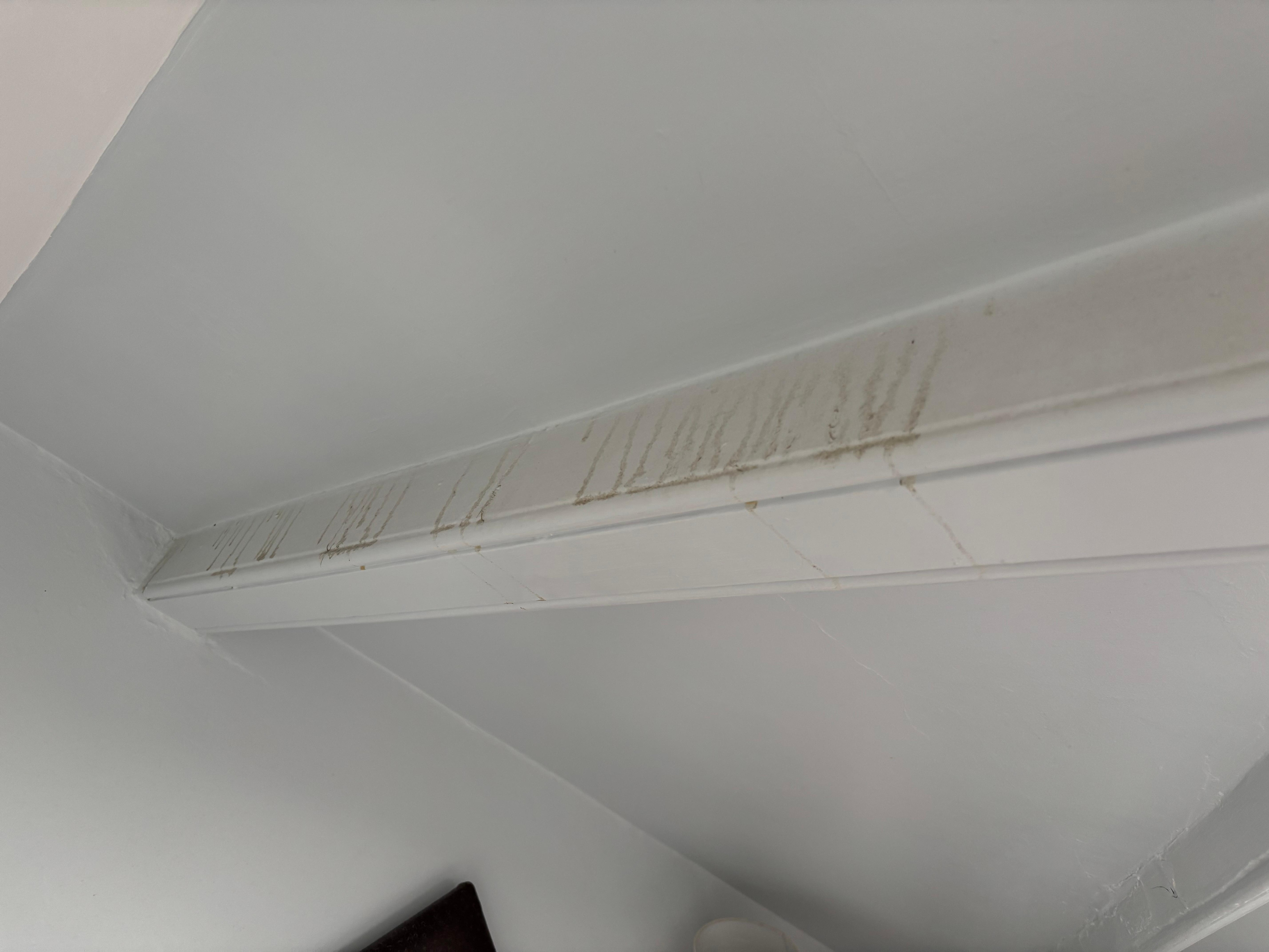 Lucky it didn’t rain the night we stayed as this was over the bed 