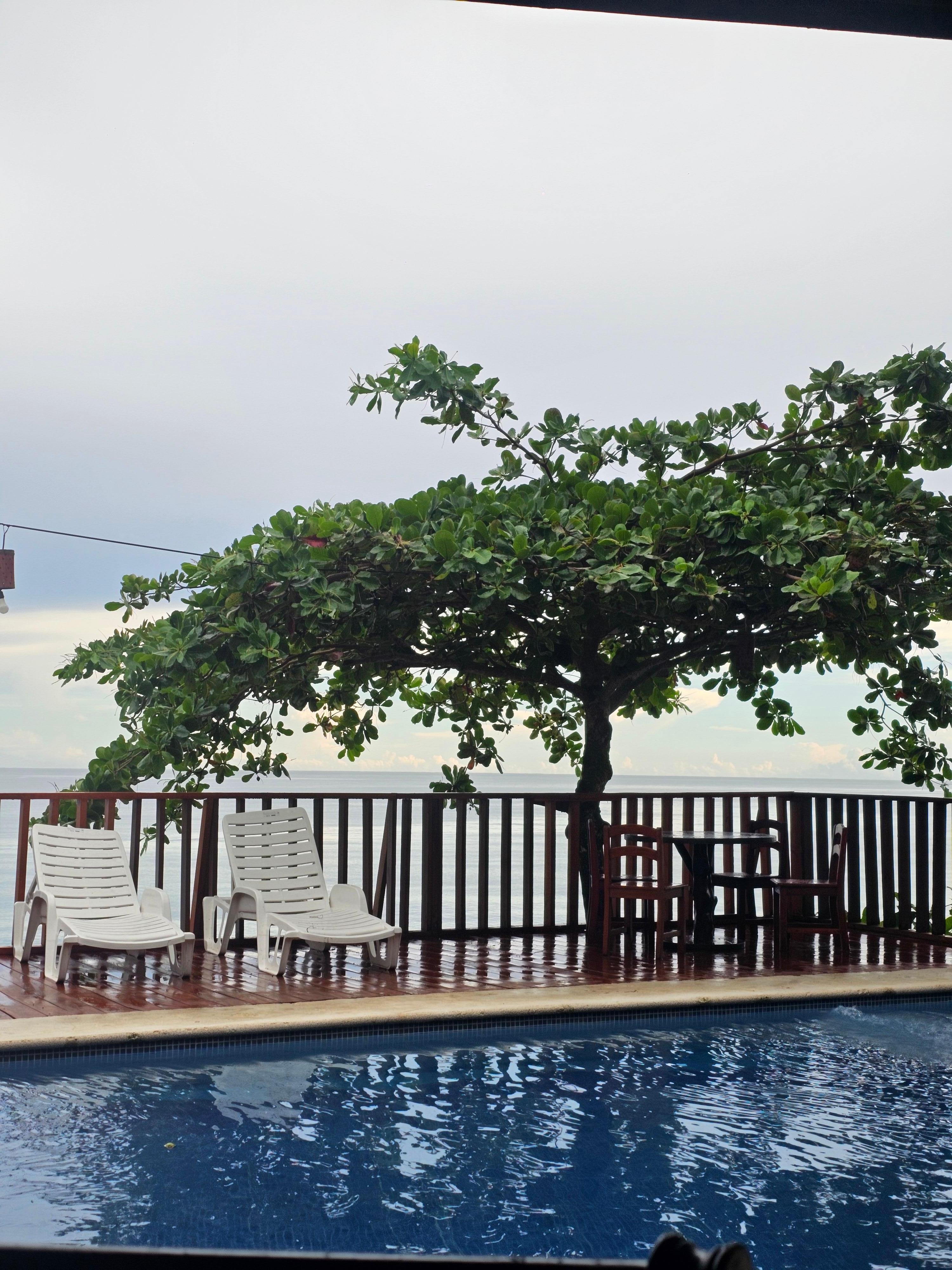 View from restaurant 