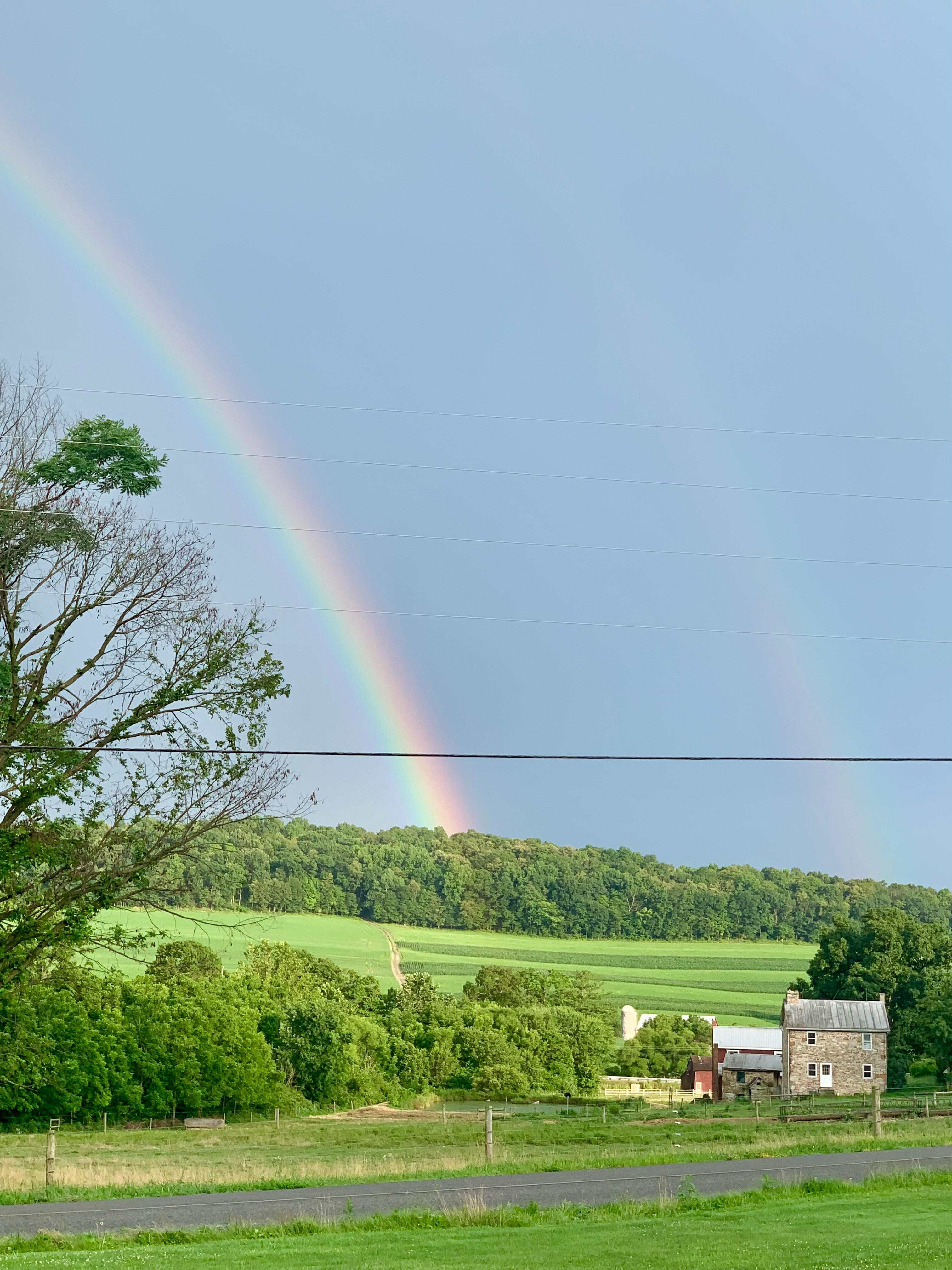 After the distant storm 