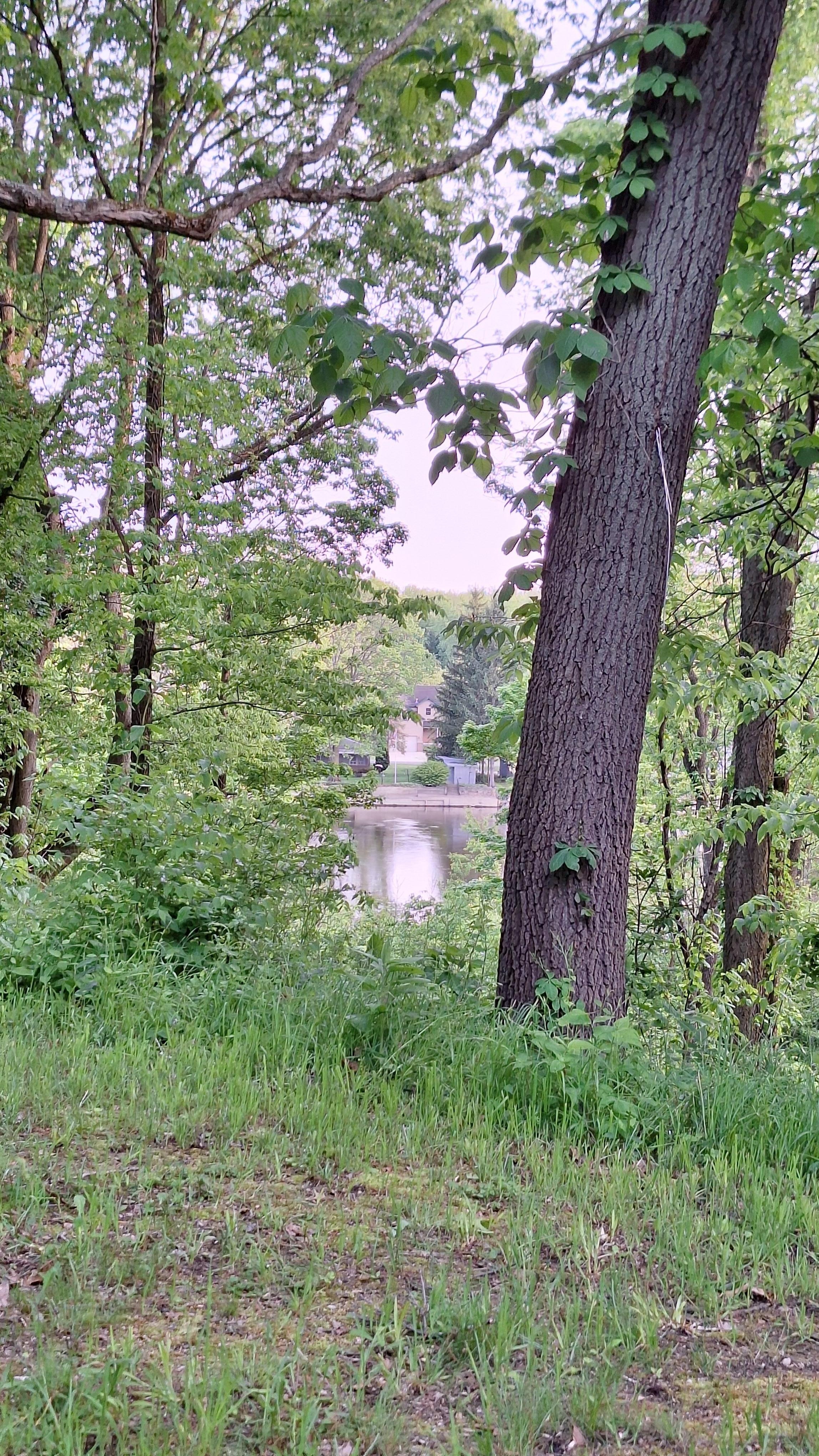 Beautiful view of the river, great for bird watching