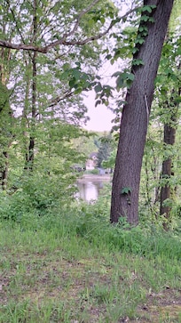 Beautiful view of the river, great for bird watching