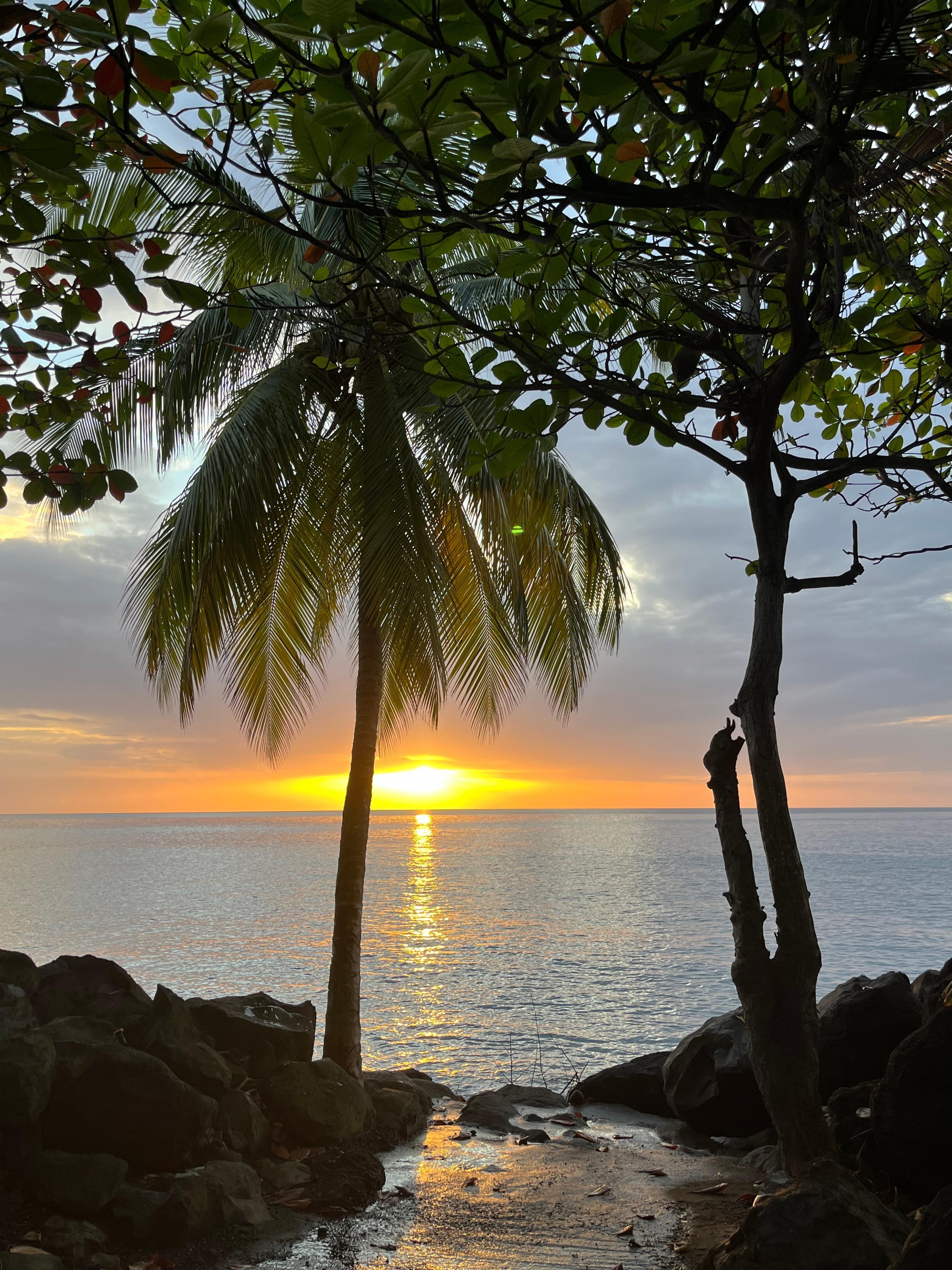 Coucher de soleil depuis les amandiers 