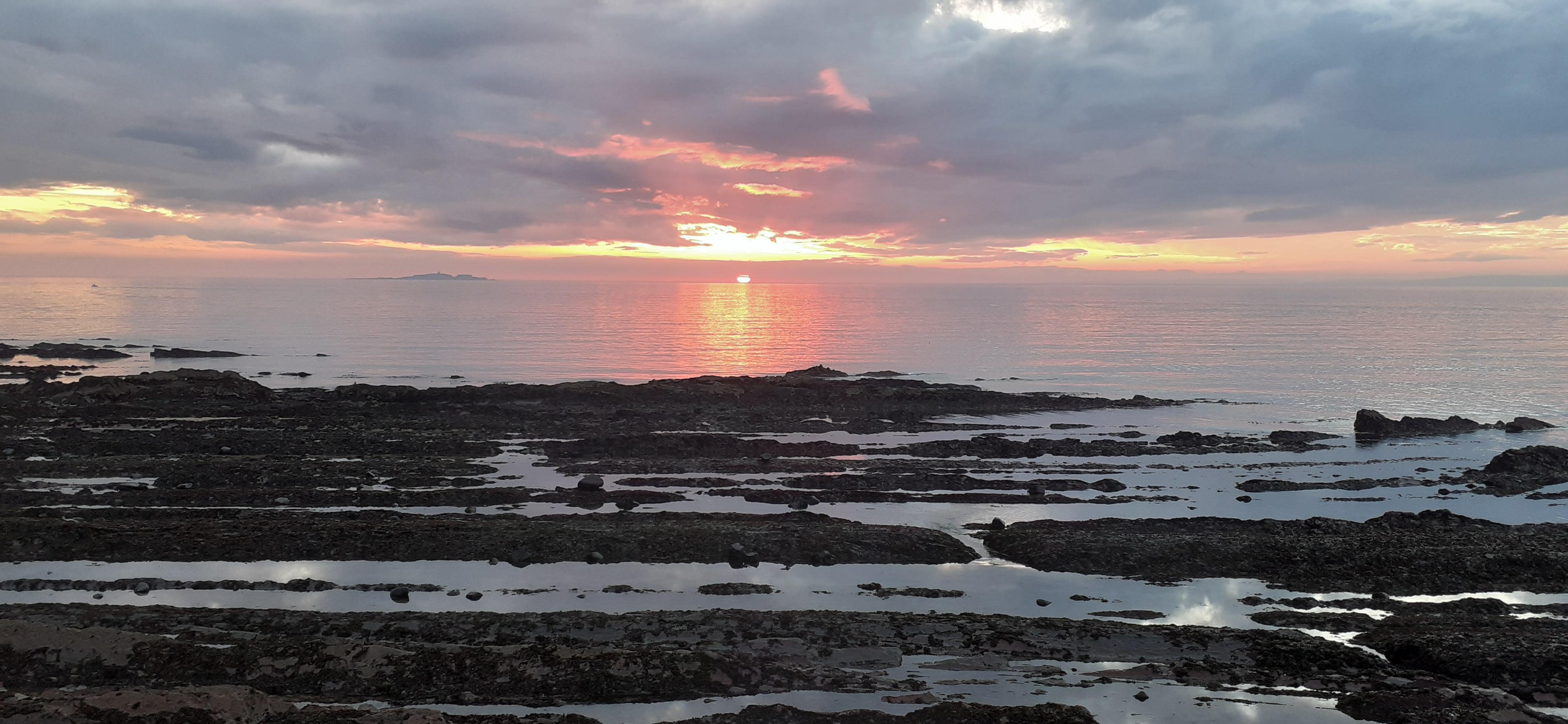 Dawn from the patio.