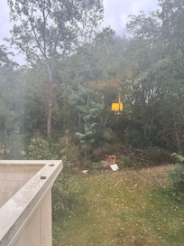 View from window