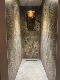 Wellness center shower