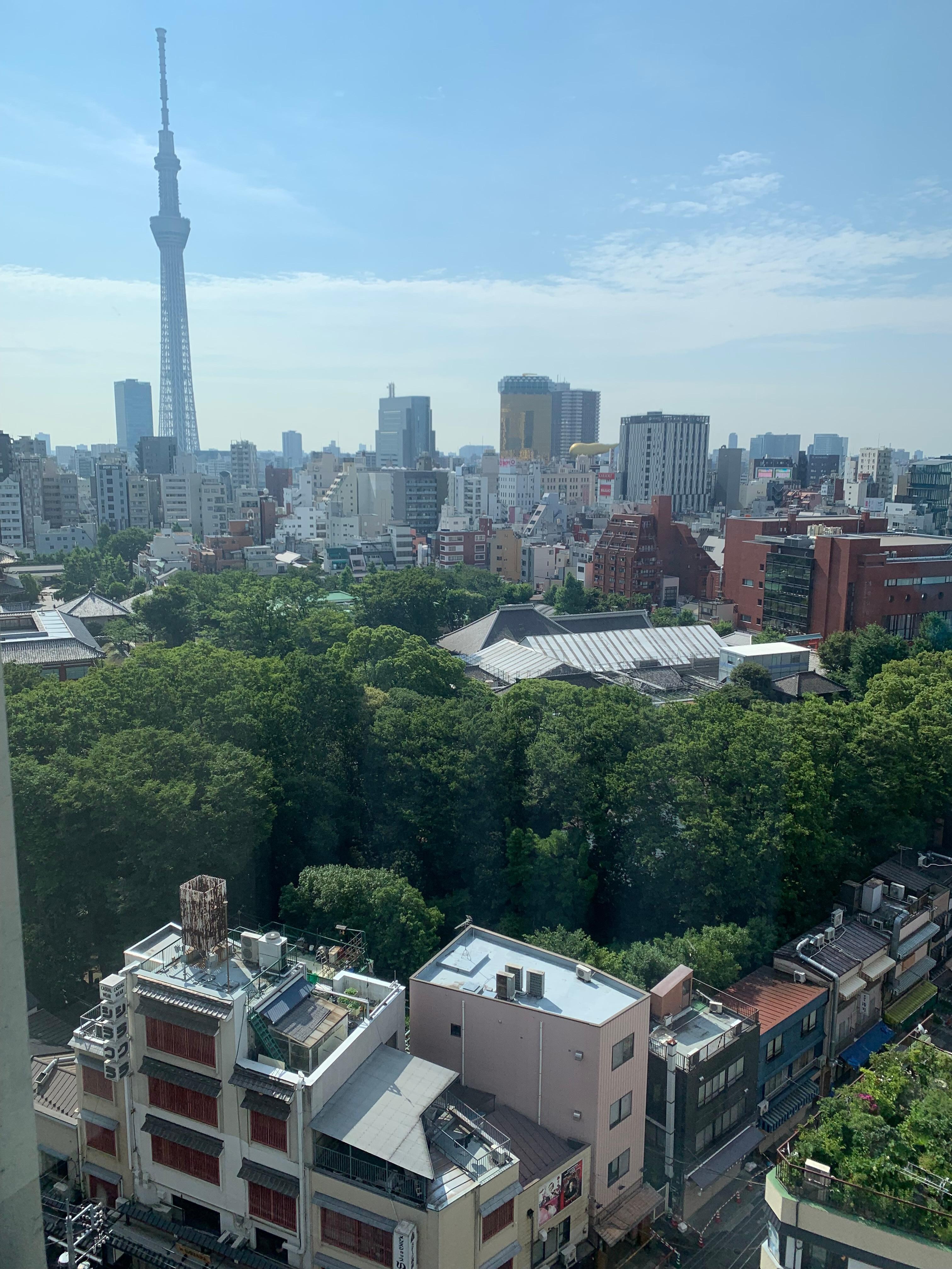 View in our room at day time