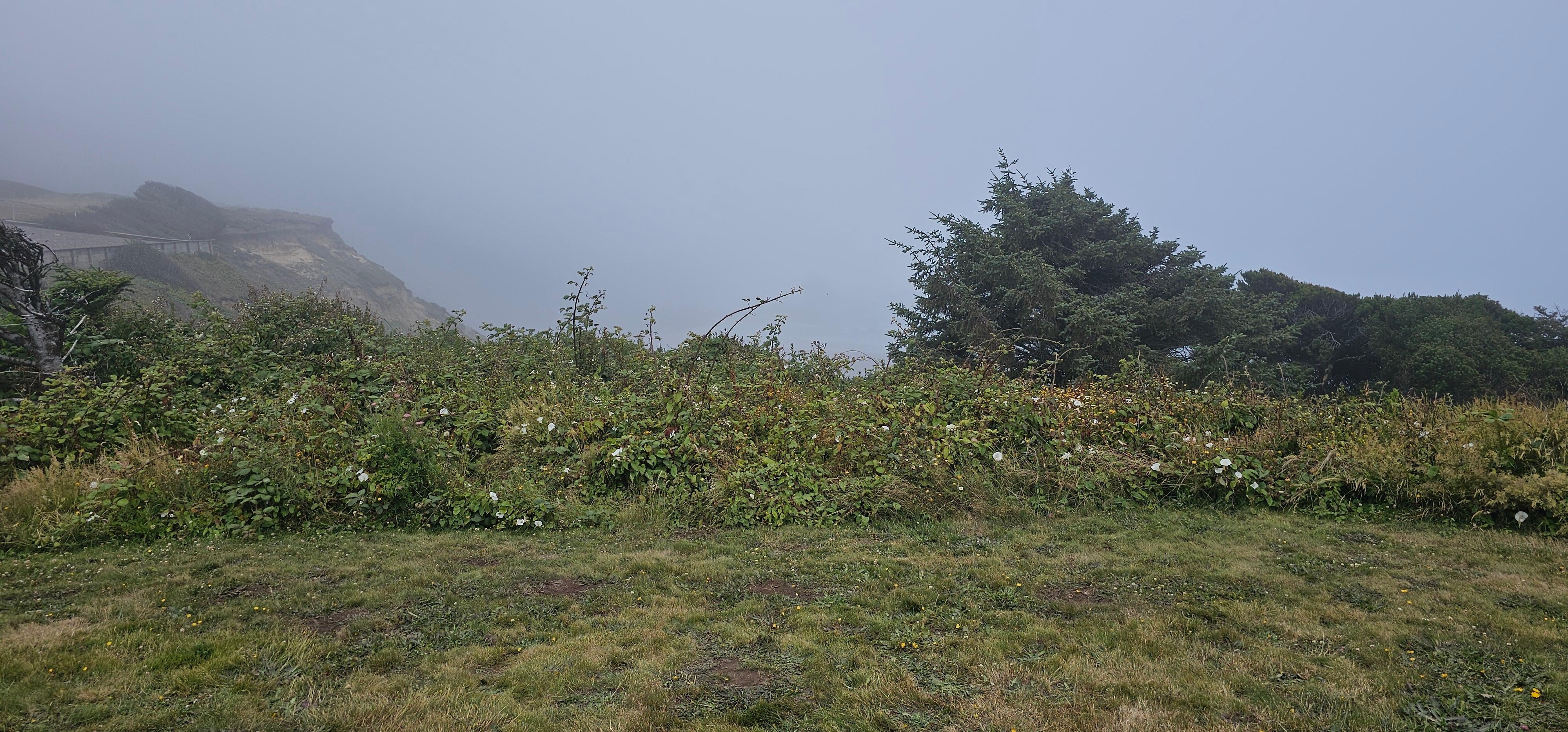 This was the view toward the lighthouse for 70% of our stay. We would leave and go to agate beach to be in the sun. 