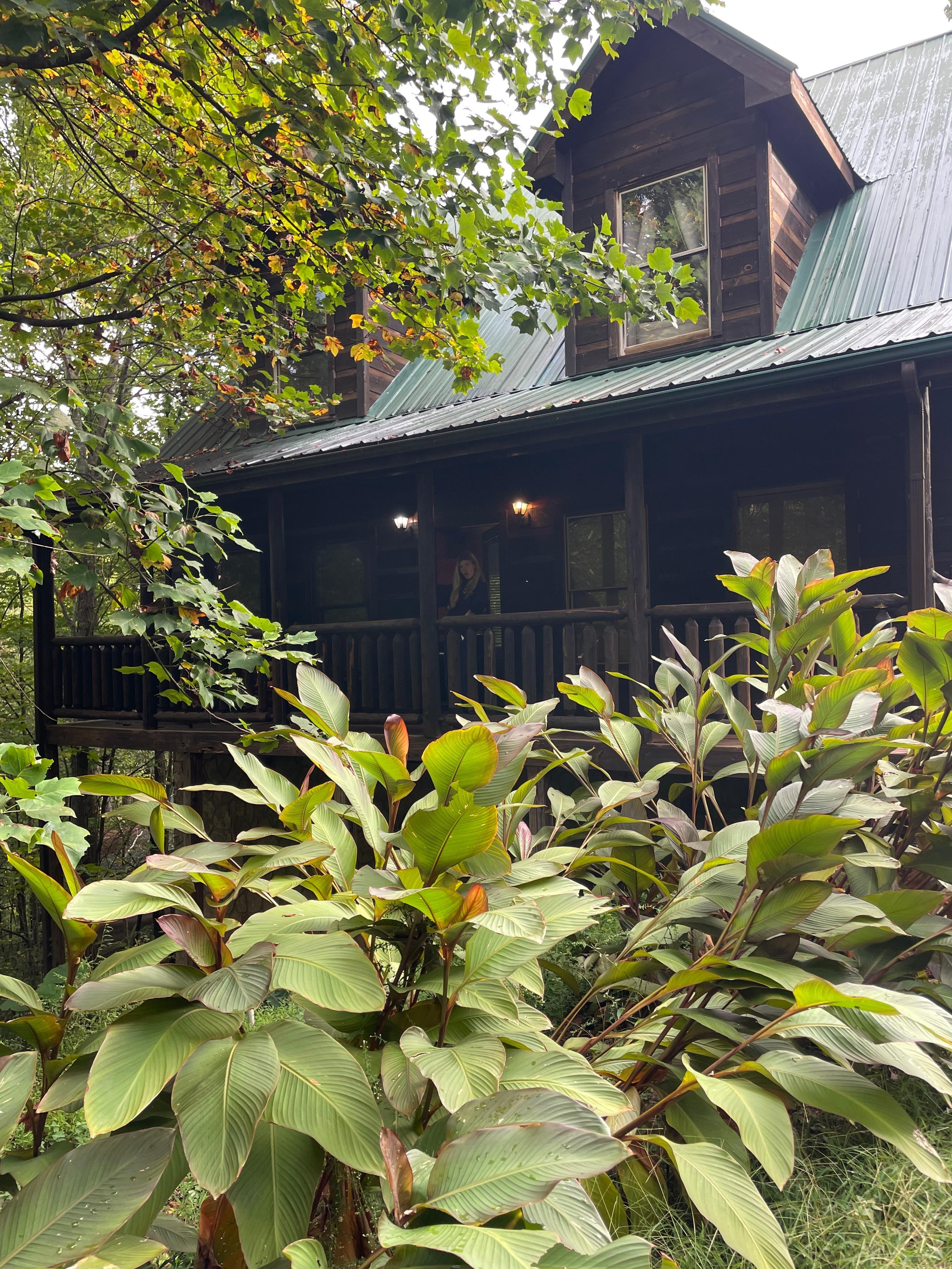 Front view of the beautiful cabin