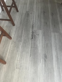 Dining/Living Area