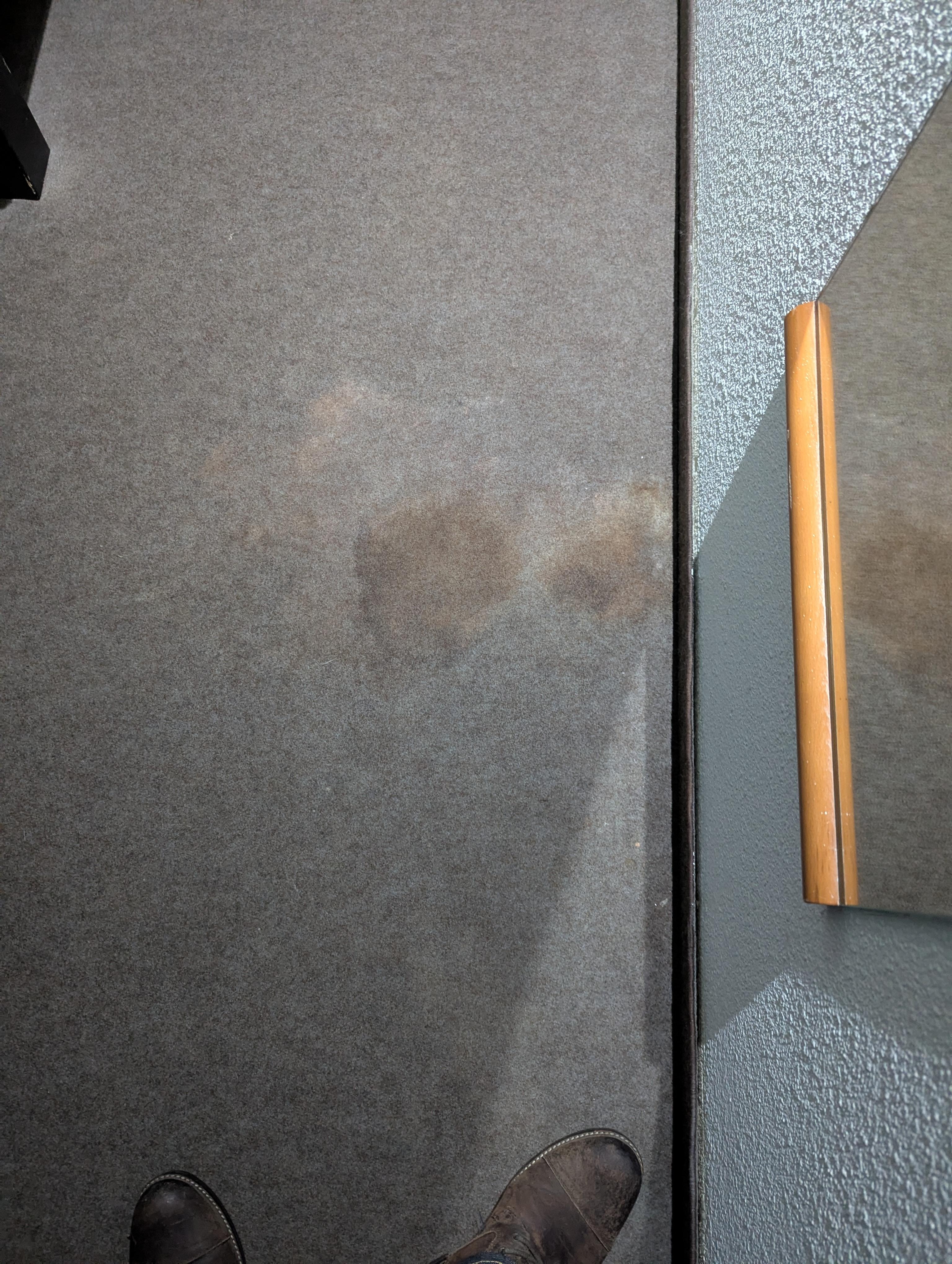 Brown stain on the carpet.