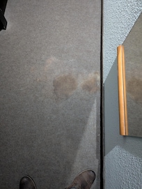 Brown stain on the carpet.