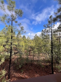 View from the back patio!