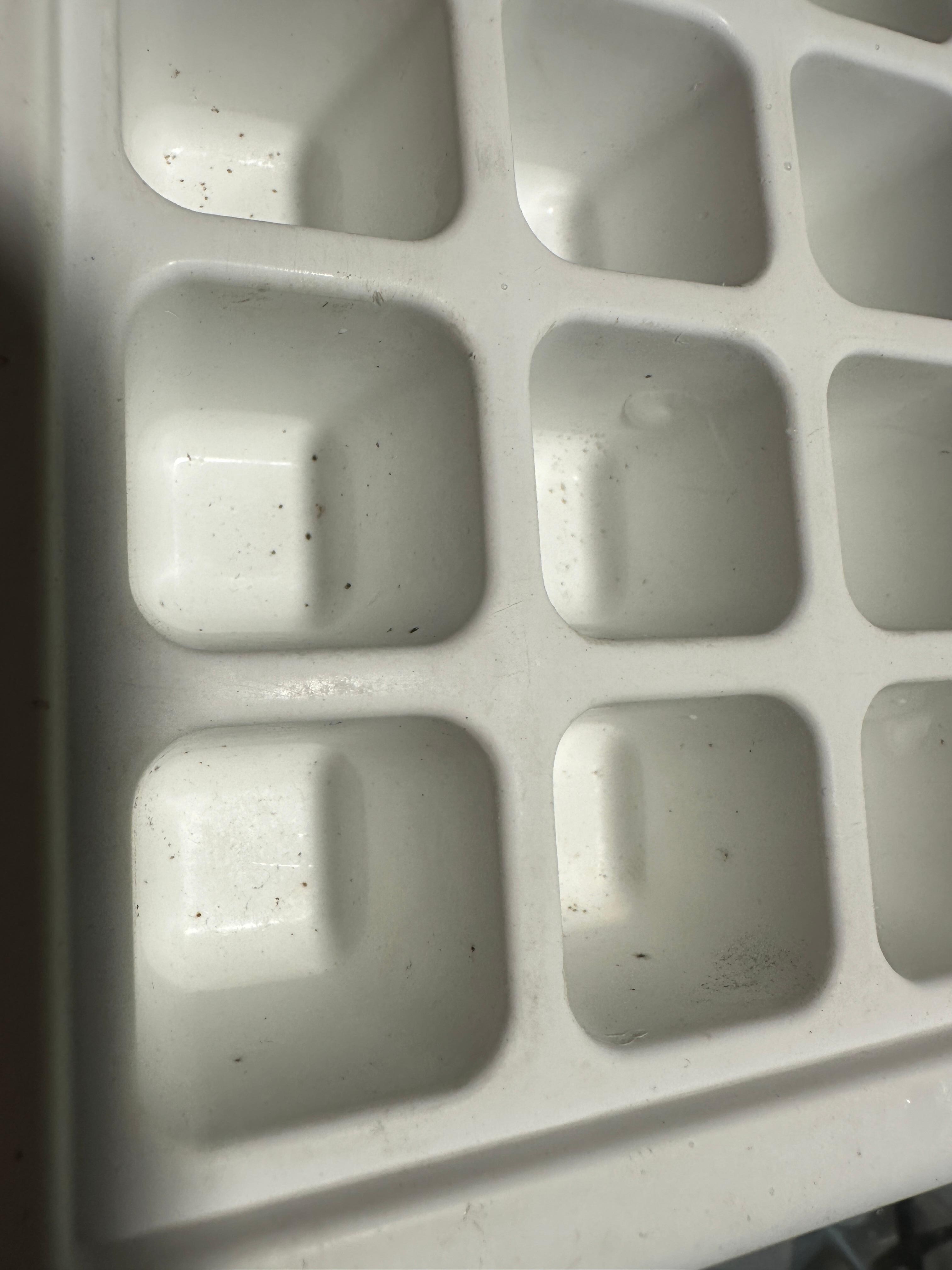 Dirty ice cube box
