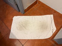 One of the bath towels I could bring myself to use on my body.