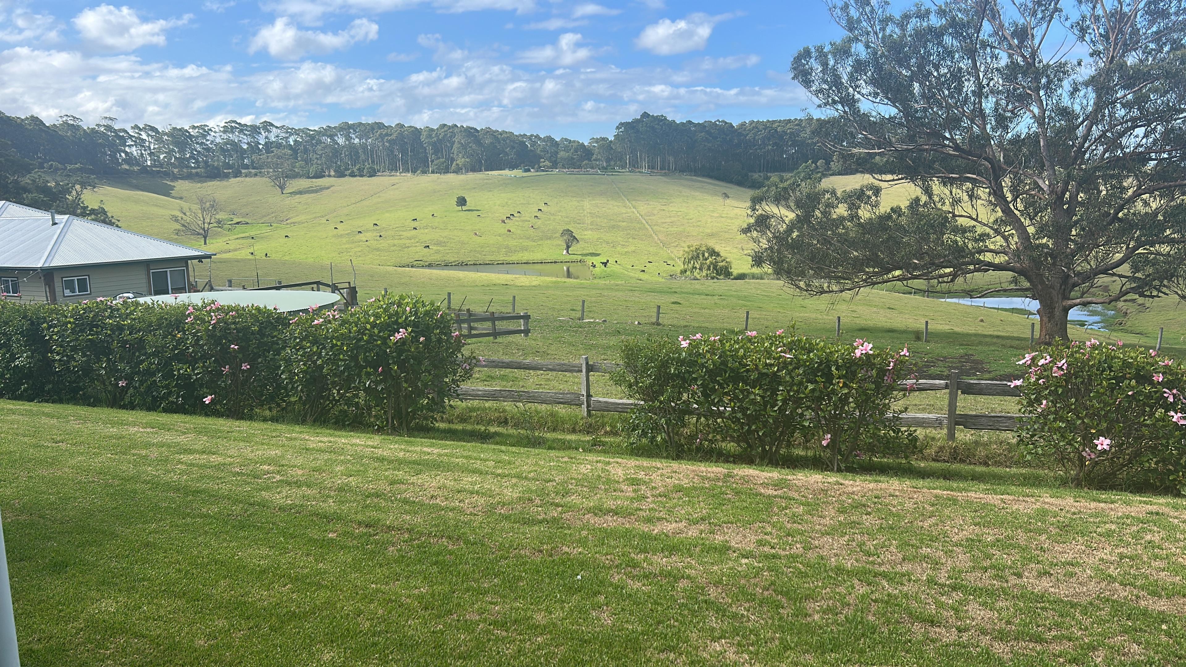 Absolutely stunning view