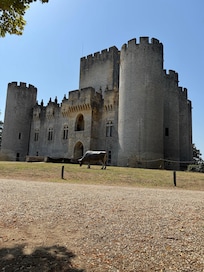 Château de Roquetaillade
