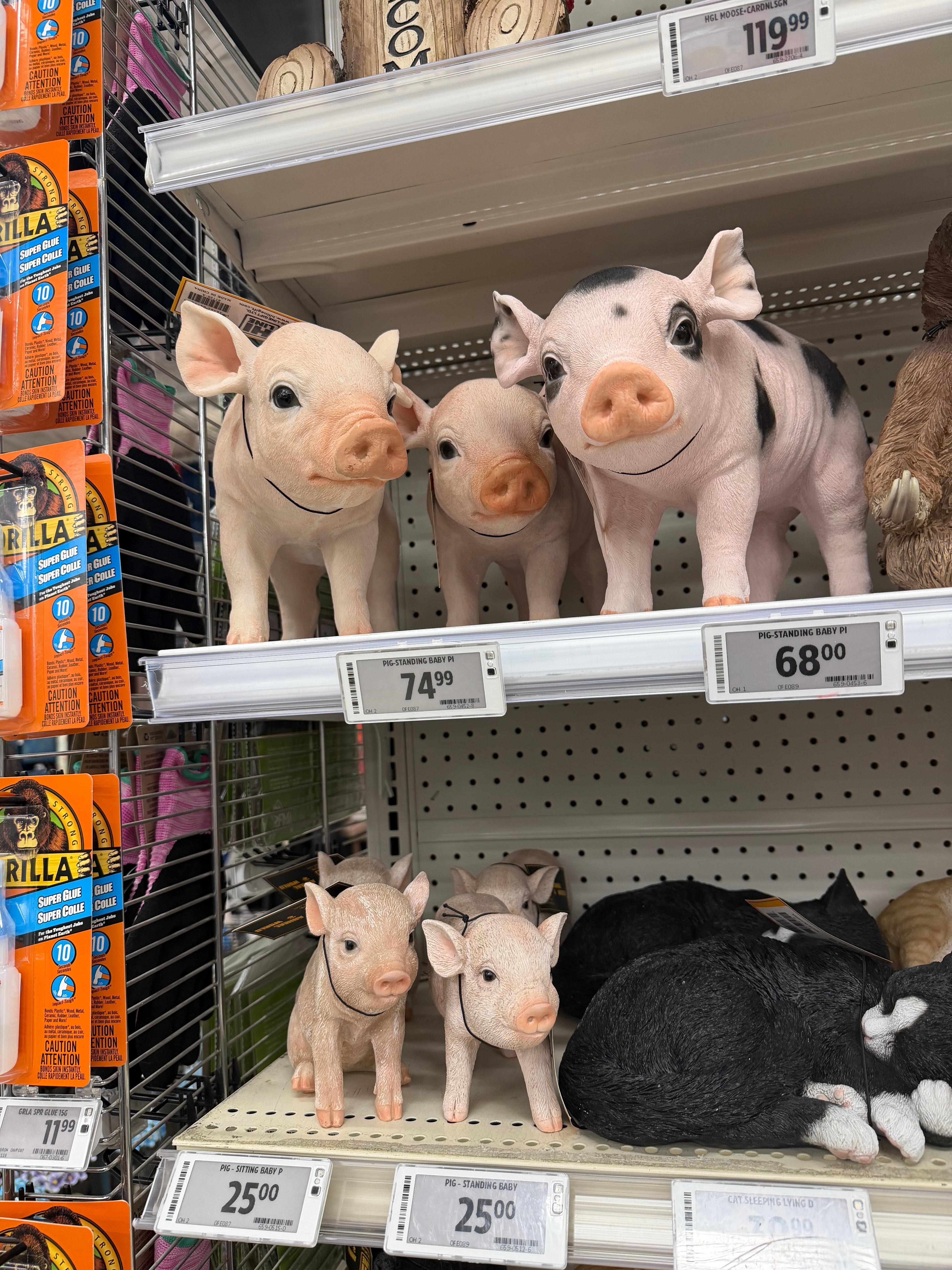 At the Canadian tire across the street 