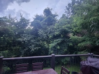 The view