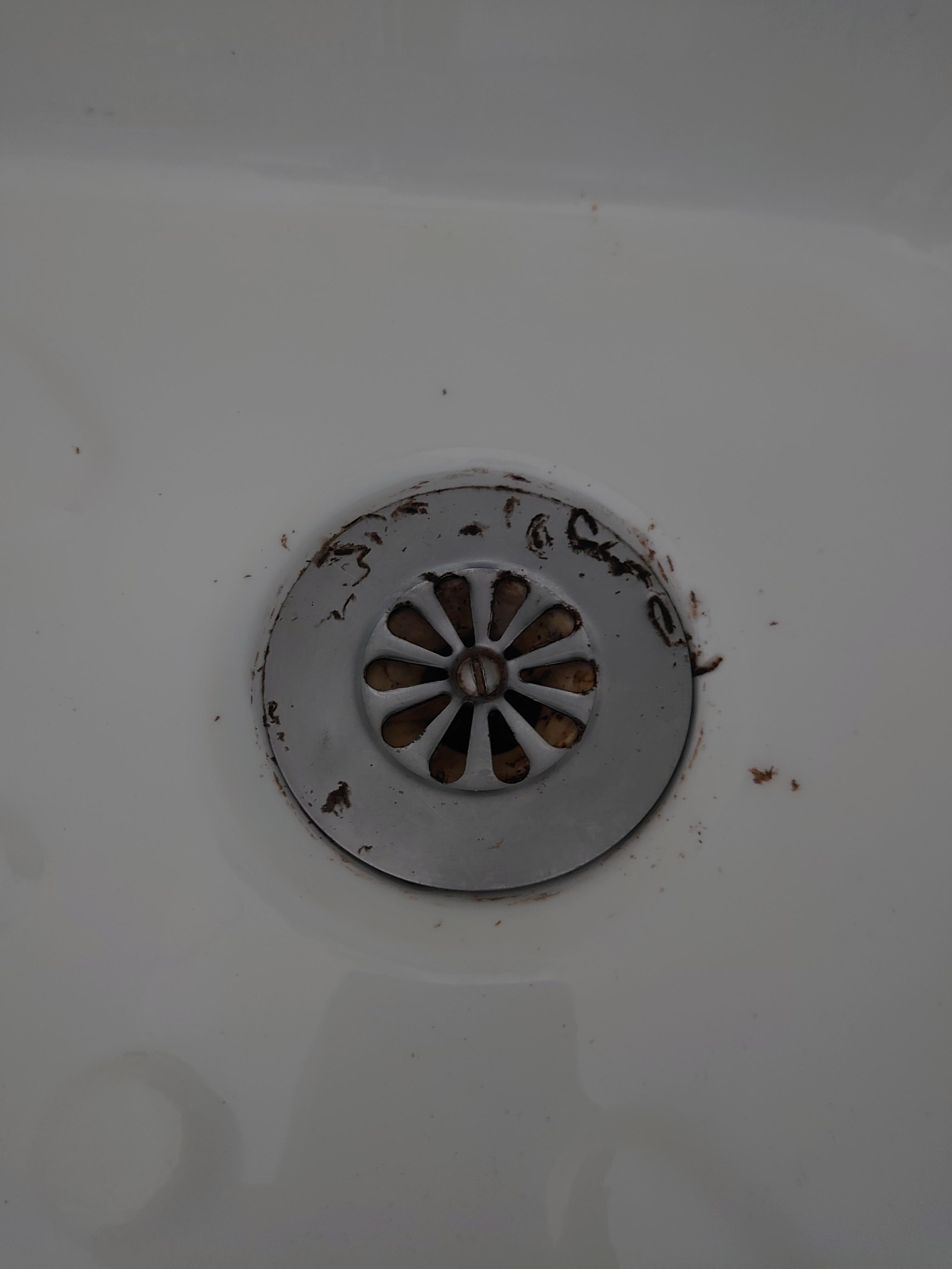 Grattage autour de l'évaluation de la douche 