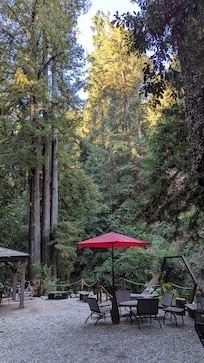 Redwood surroundings are a plus-plus!