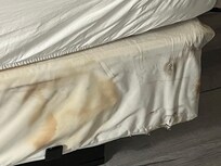 The bed skirt when I pulled down the comforter. Horrifying!