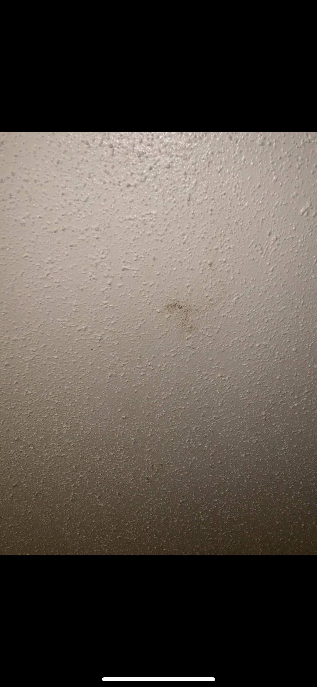 wall outside bathroom 